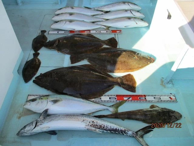 全体釣果ですがサワラ、ヒラメ、マゴチ、ワラサが釣れましたッ(^-^)