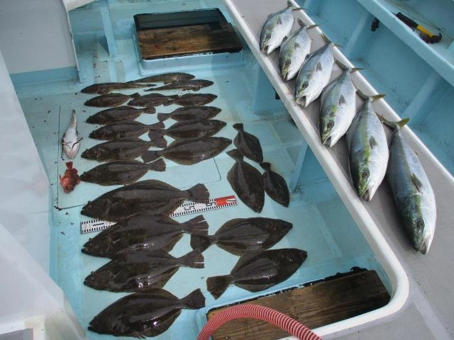 連日の初夏ビラメ ダブルツヌケOver達成ッ‼︎