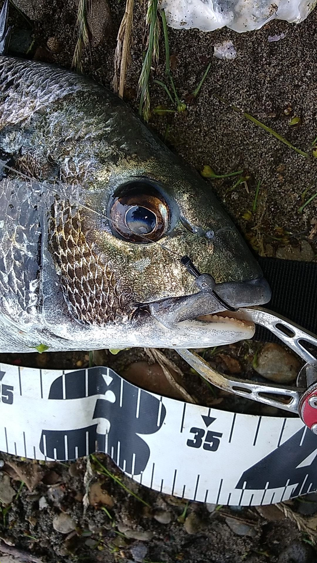 狙った唇に掛かった！嬉しい。