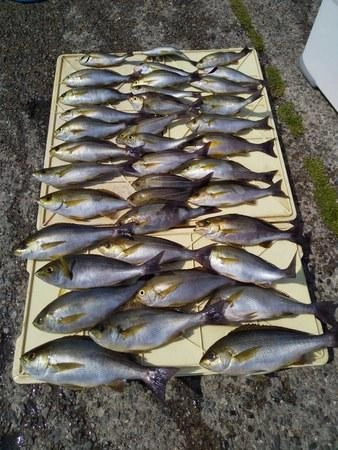こちらも本日のＴＯＰ賞