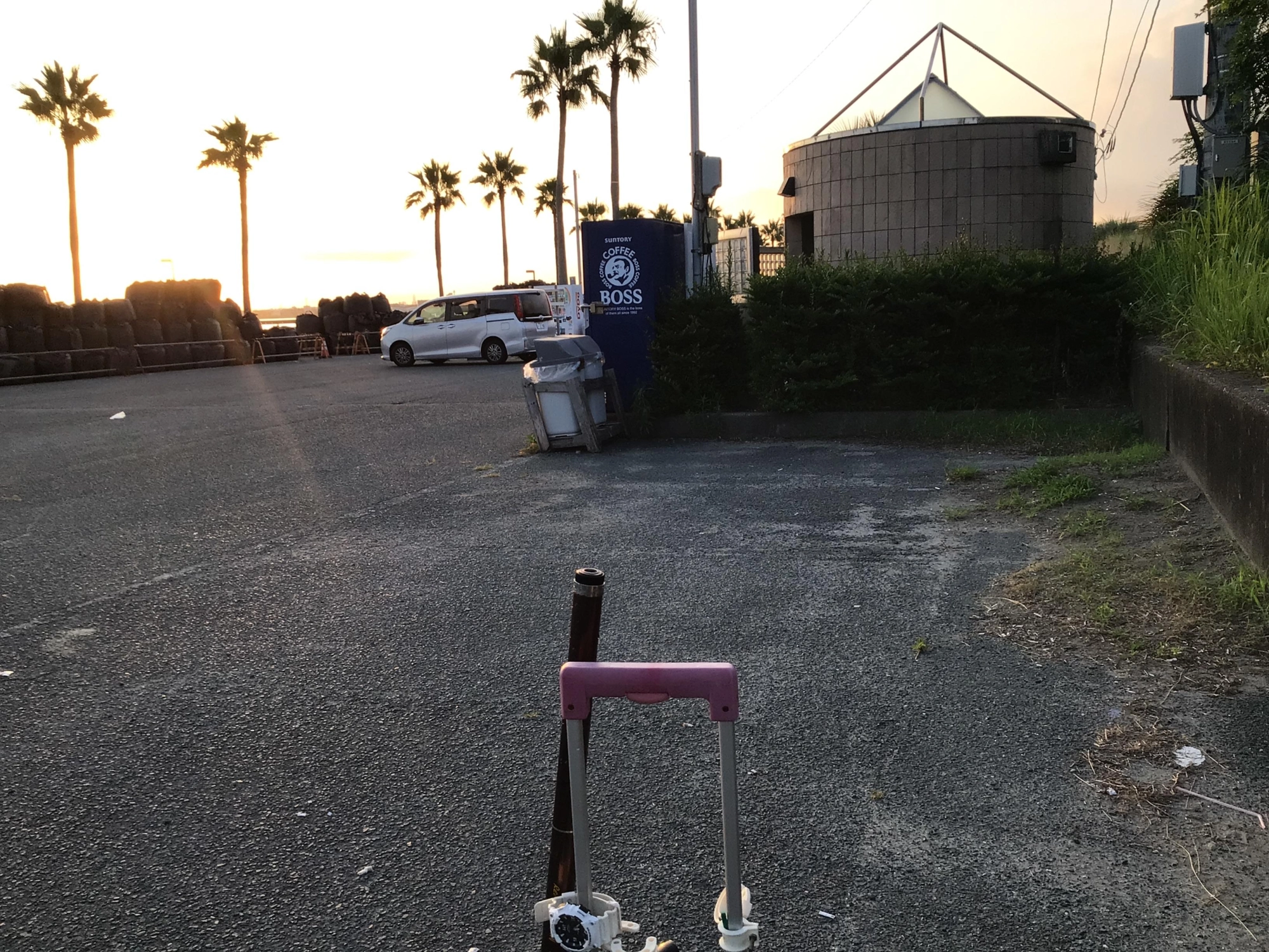 清々しい朝ぜよ❗️