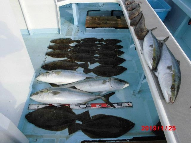 今日は今までに体験したことがないぐらいの毎流れアタリっぱなしのヒラメにワラサにマルにサワラにマトウダイにワヤぐいでしたよッ٩( ᐛ )و
