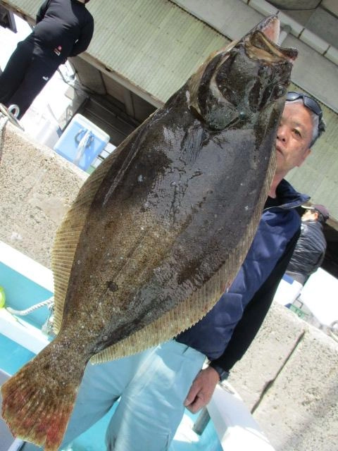 いつもの常連様はキョーイチ肉厚初春ろくまるOverビラメを釣り上げましたよッ( ͡° ͜ʖ ͡°)v