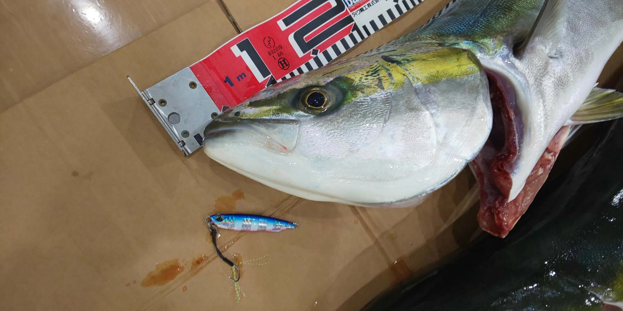 ブルピンゼブラグロー４０ｇでヒット！