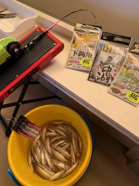 当日の仕掛けはコチラ。下針は付けた方が良いです！