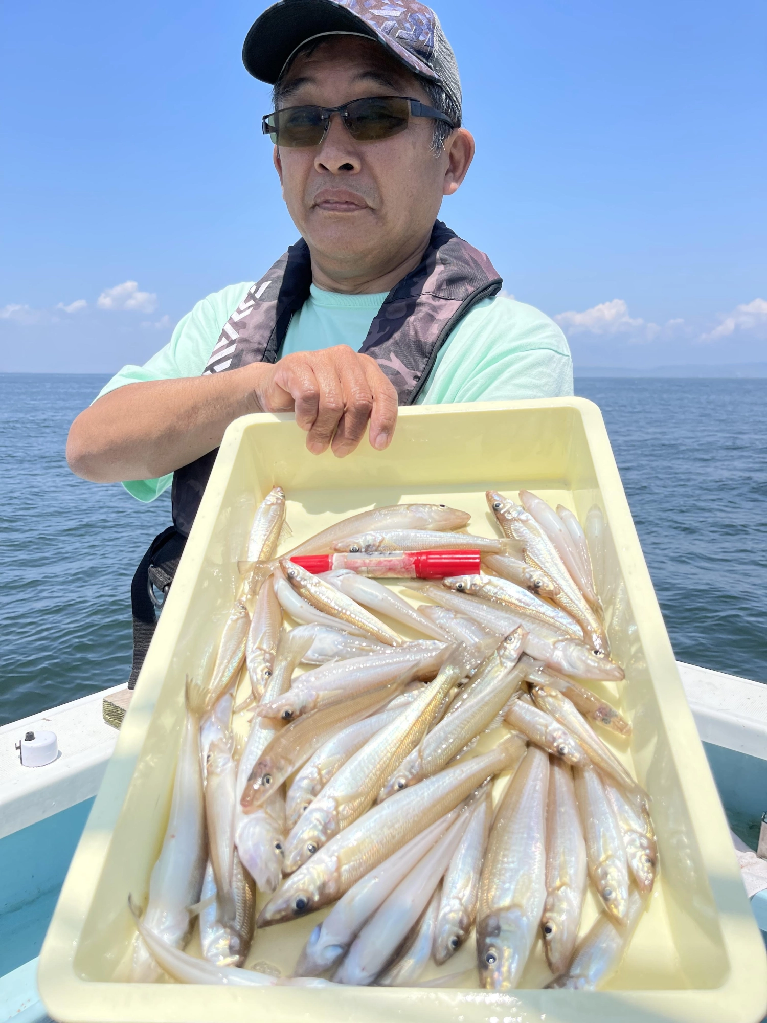 デカポチャギス混じりで❹❼本も釣り上げましたよッ( ͡° ͜ʖ ͡°)
