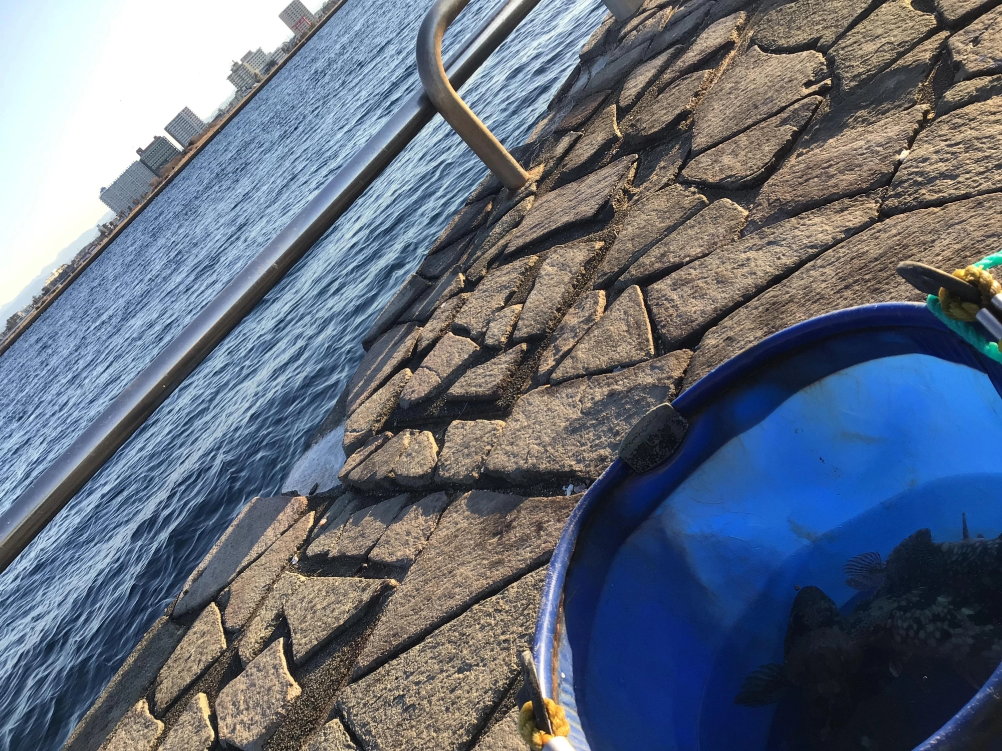 イイ天気♪
