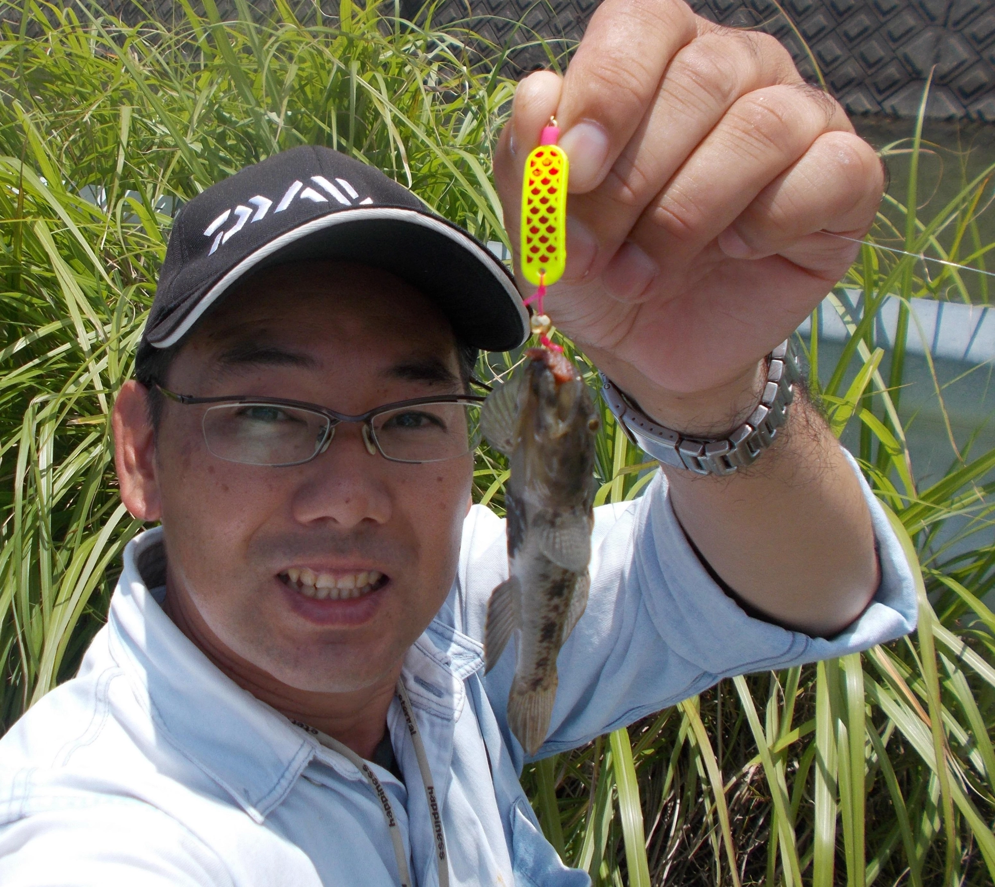 「ウロハゼ」ですが大きいサイズが釣れました。