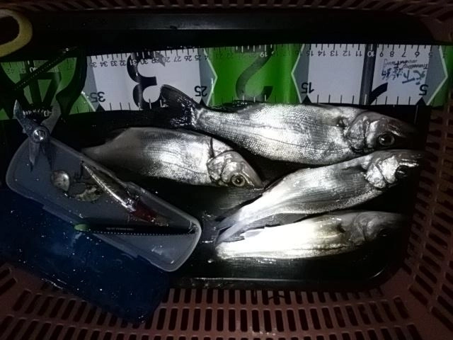 恵みに感謝