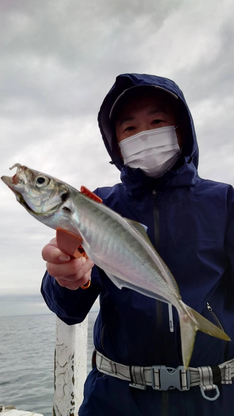 良型のアジも釣れます！アジ狙いならハリスは4号6ｍまでがオススメです！