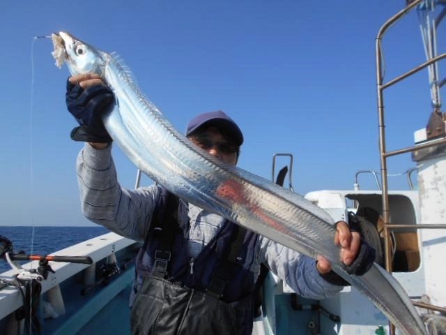 指７本サイズ　げっちゅ！