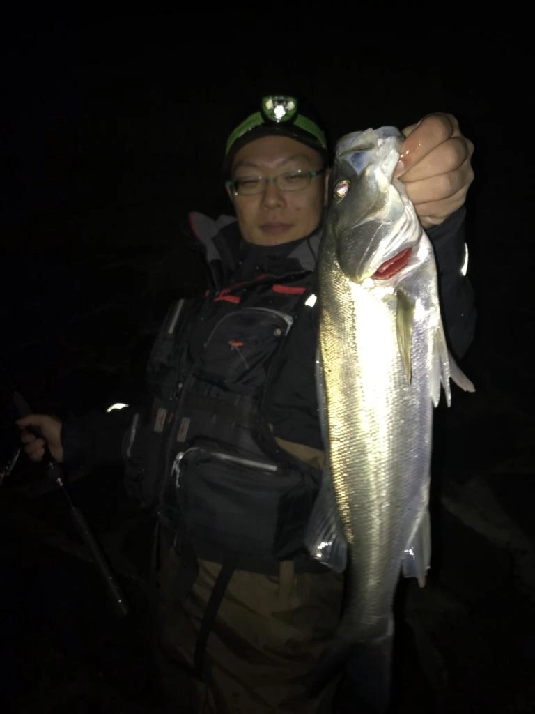 グラバーＨｉ68Ｓボラグローでヒット！