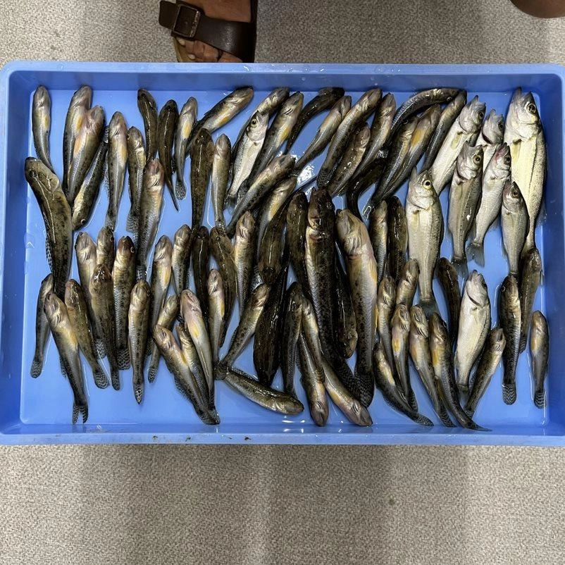 約３時間でこの釣果！！