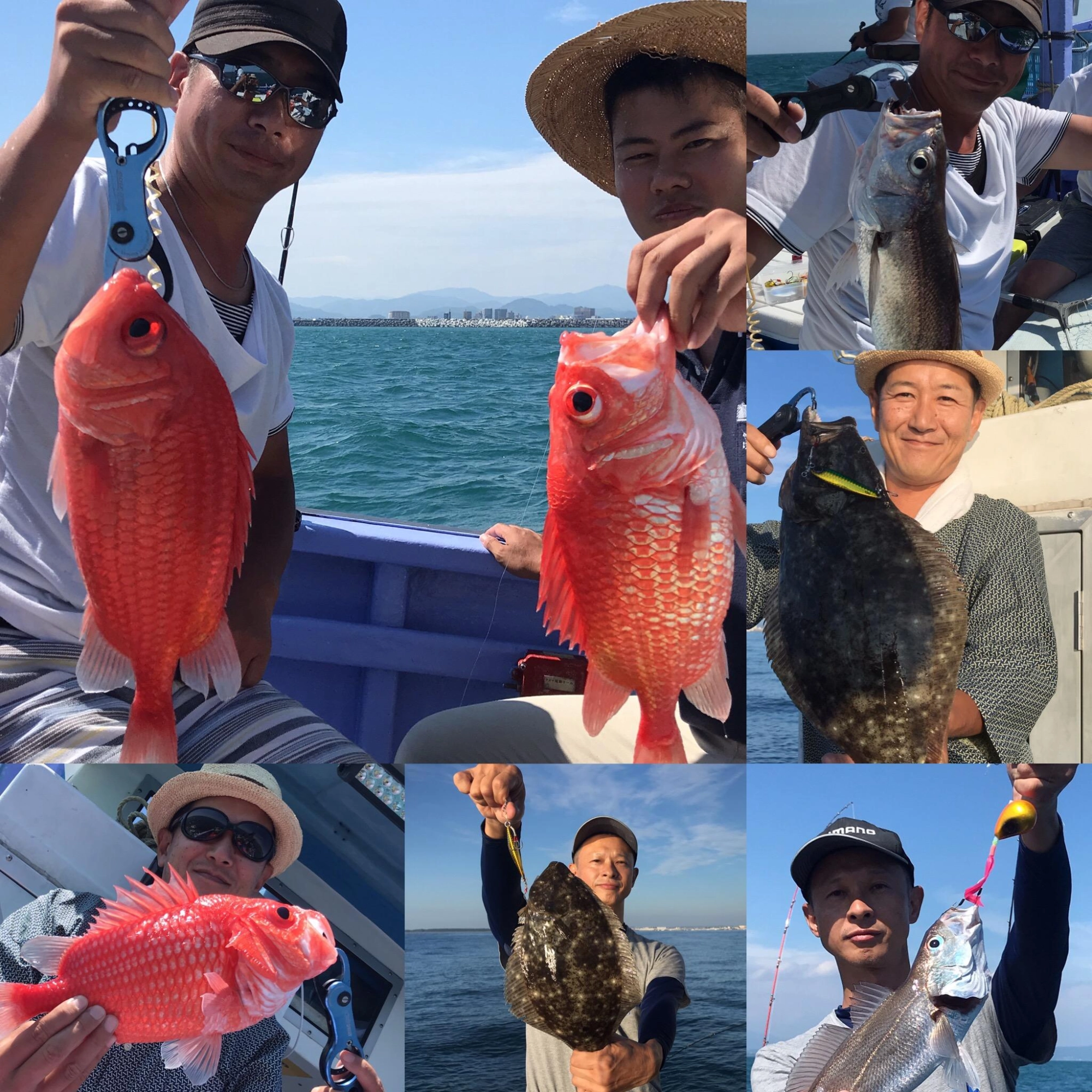 恵比寿鯛
ヒラメ
