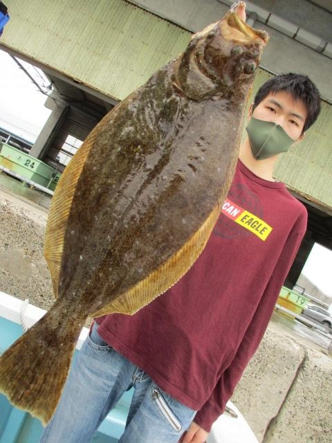 こちらのお客様は『活き鰯ヒラメ釣り』初挑戦 電動貸し竿で肉厚初春ビラメ狩りッ(°▽°)