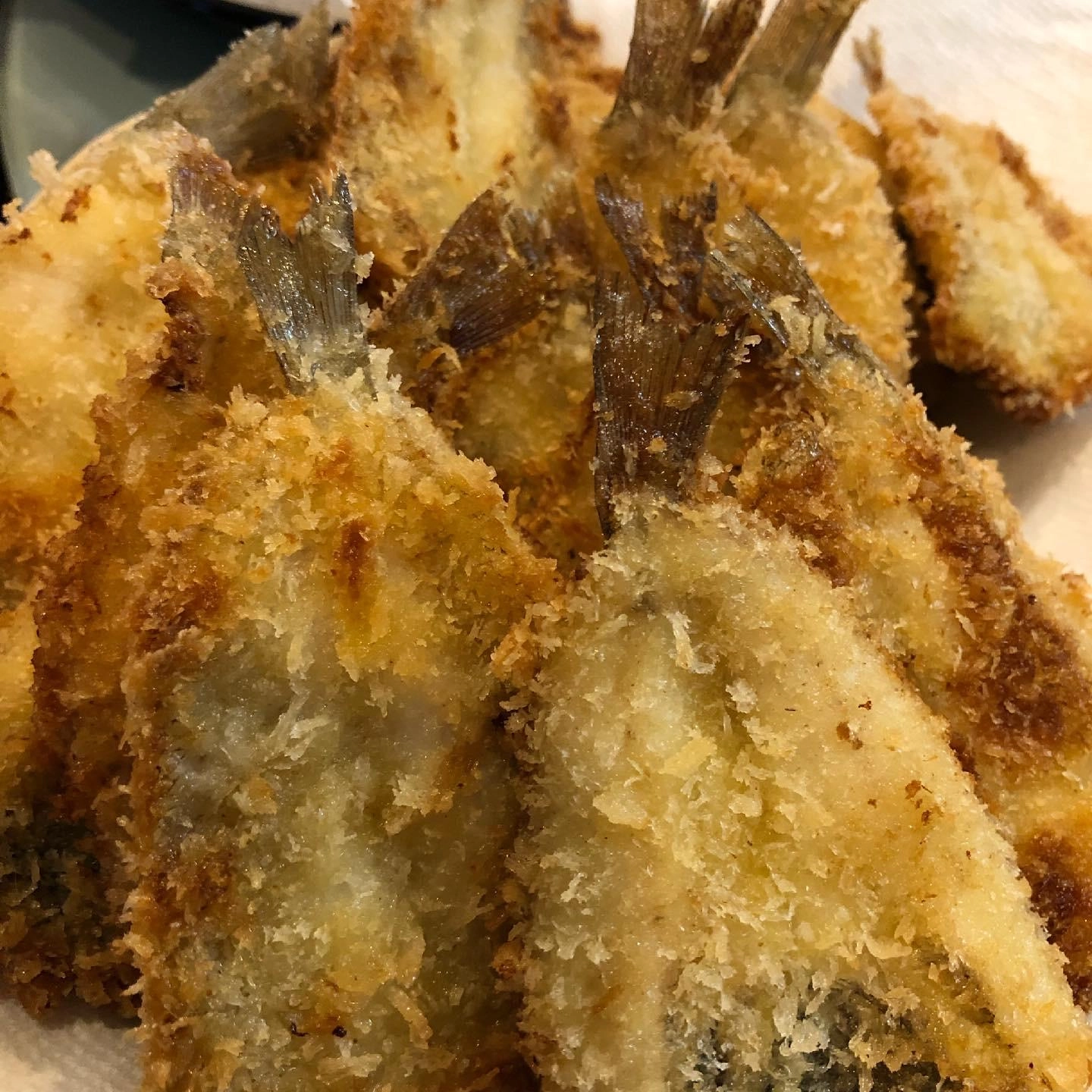 釣りたてのモロポチャギスのフライも美味しいですがパン粉を付けて冷凍保存も可能ですよッ(^-^)