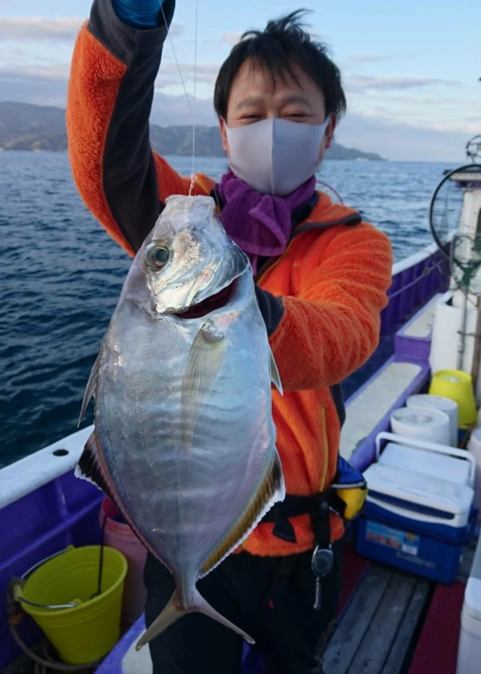 良型カイワリもヒット！最高に美味しいです！！