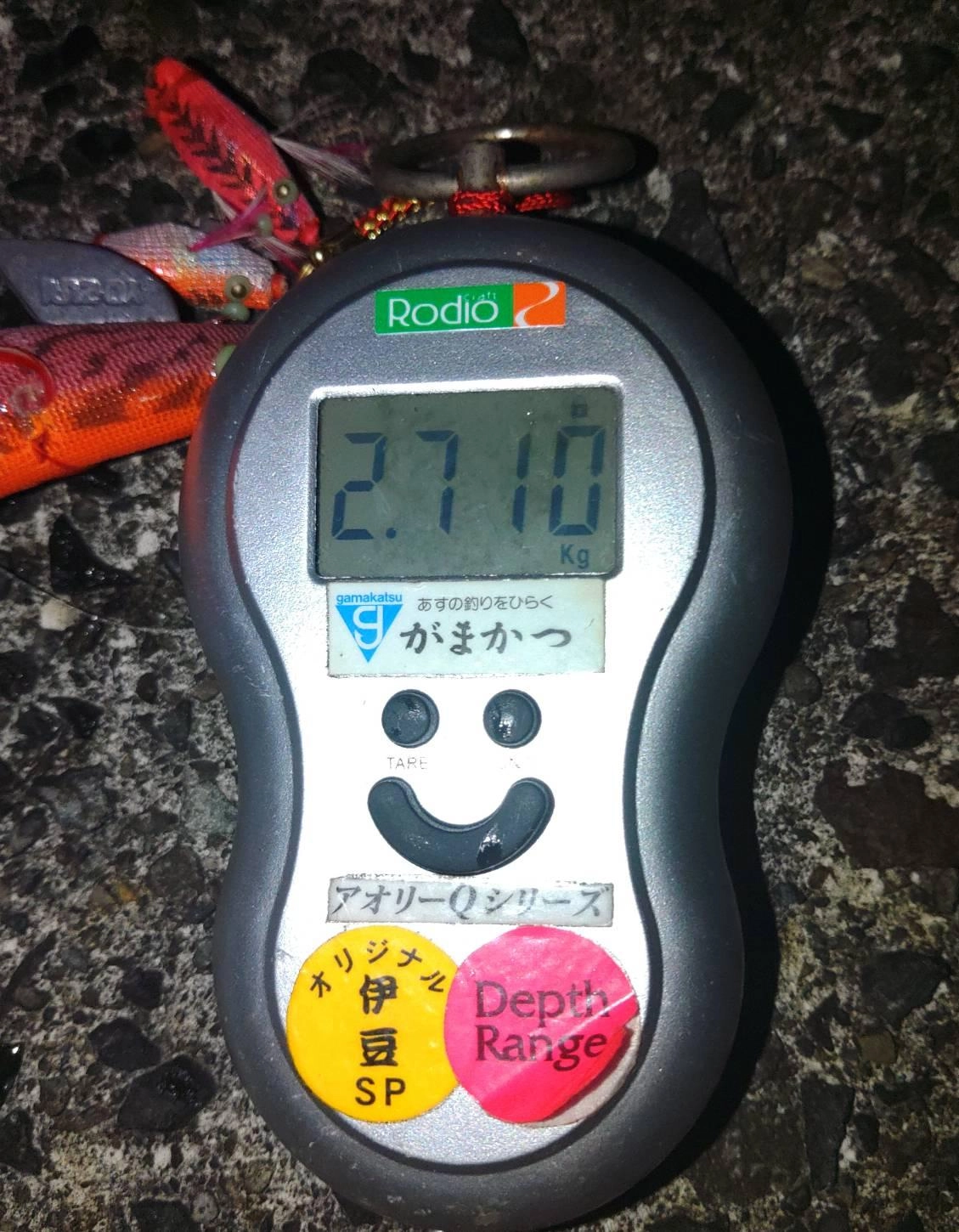 アオリイカ　2.7㌔
