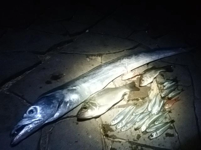 浜名湖らぶ