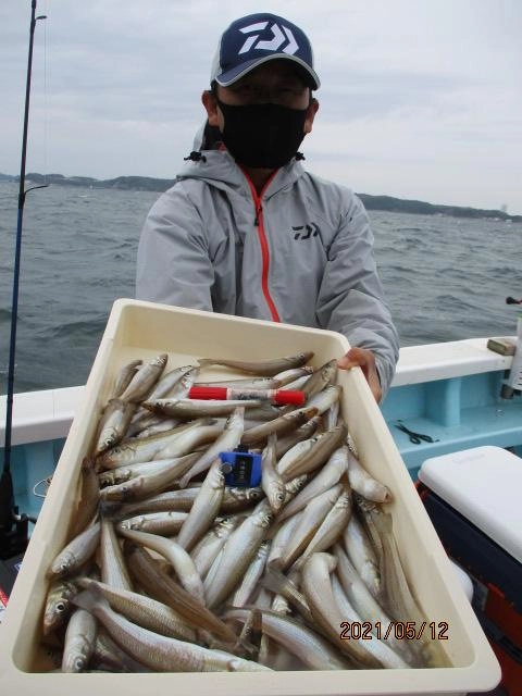 こちらの常連様は今シーズンのモロポチャギス釣りのパターンを掴んだッ⁈❽❸本狩りでしたッ( ͡° ͜ʖ ͡°)
