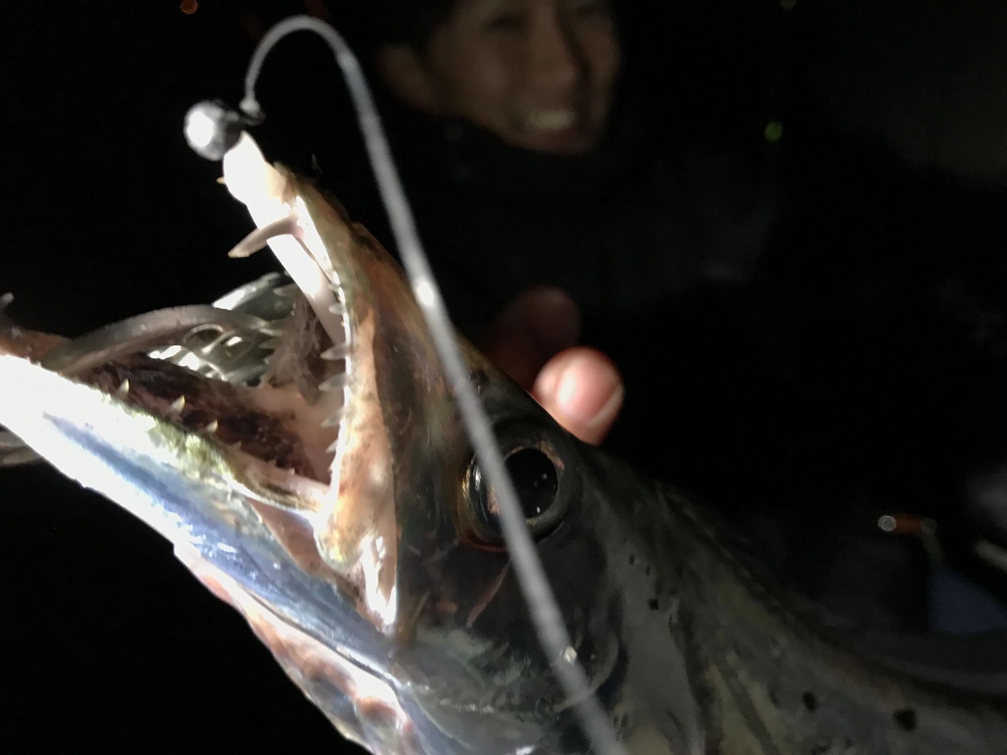 奇跡的にいい所に針掛かりしました。本当にラッキー！