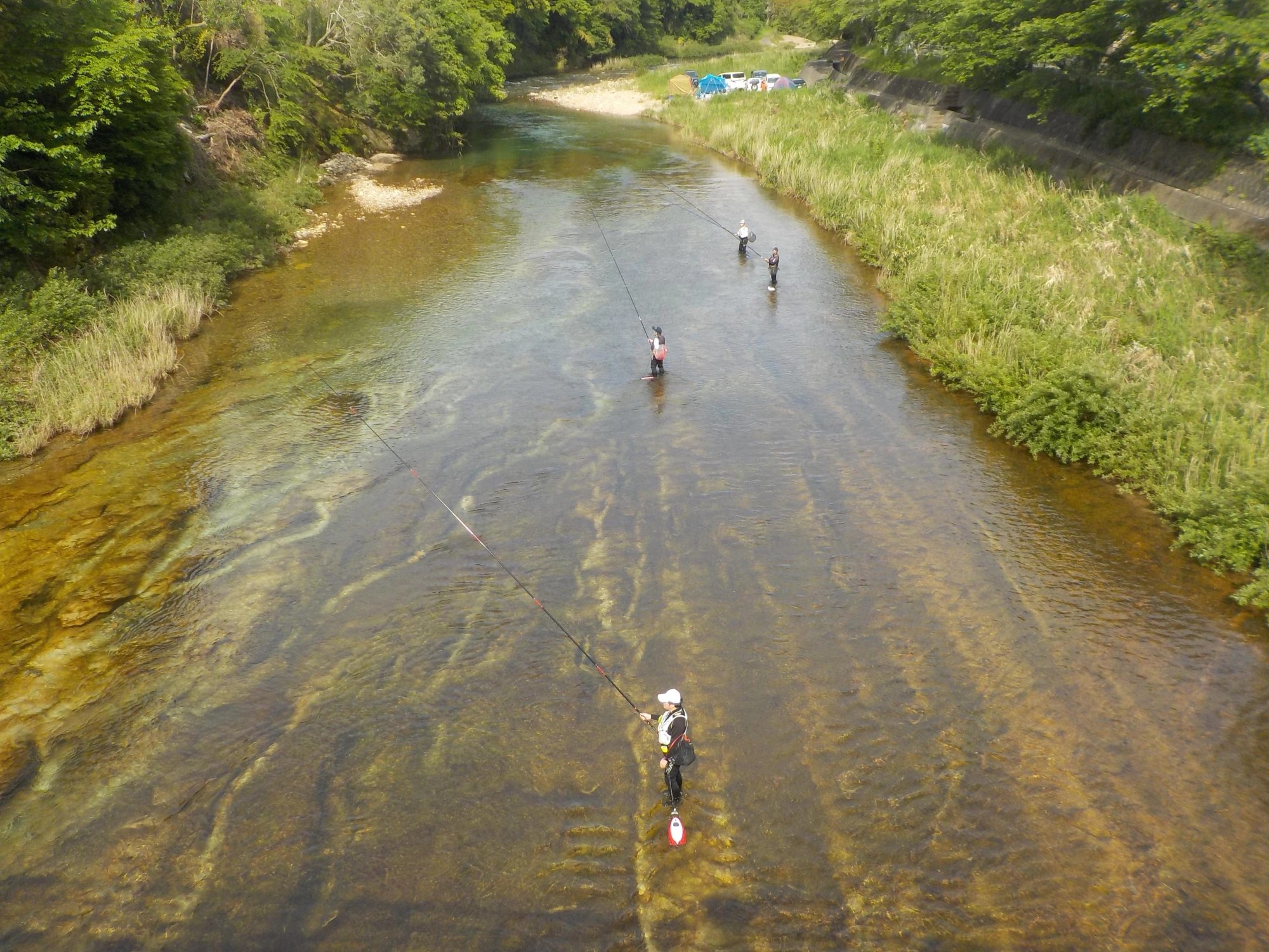 鮎の魚影は多く群れている状況でした。