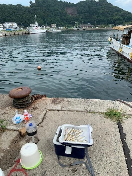 満潮間近、時間に正確なアジ君！来てくれてありがとう。
待っててよかった(^^)/