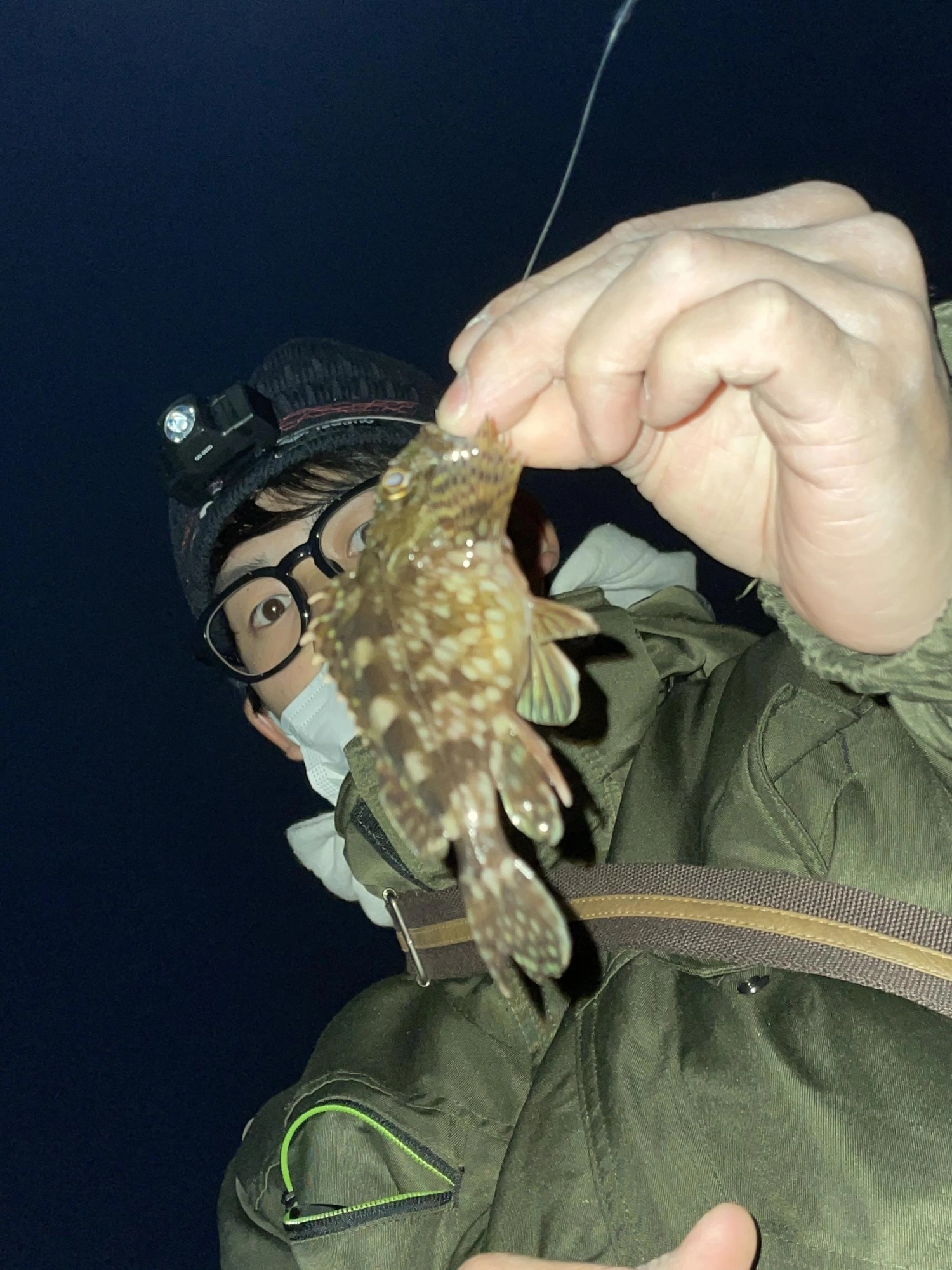 ちびカサゴ
