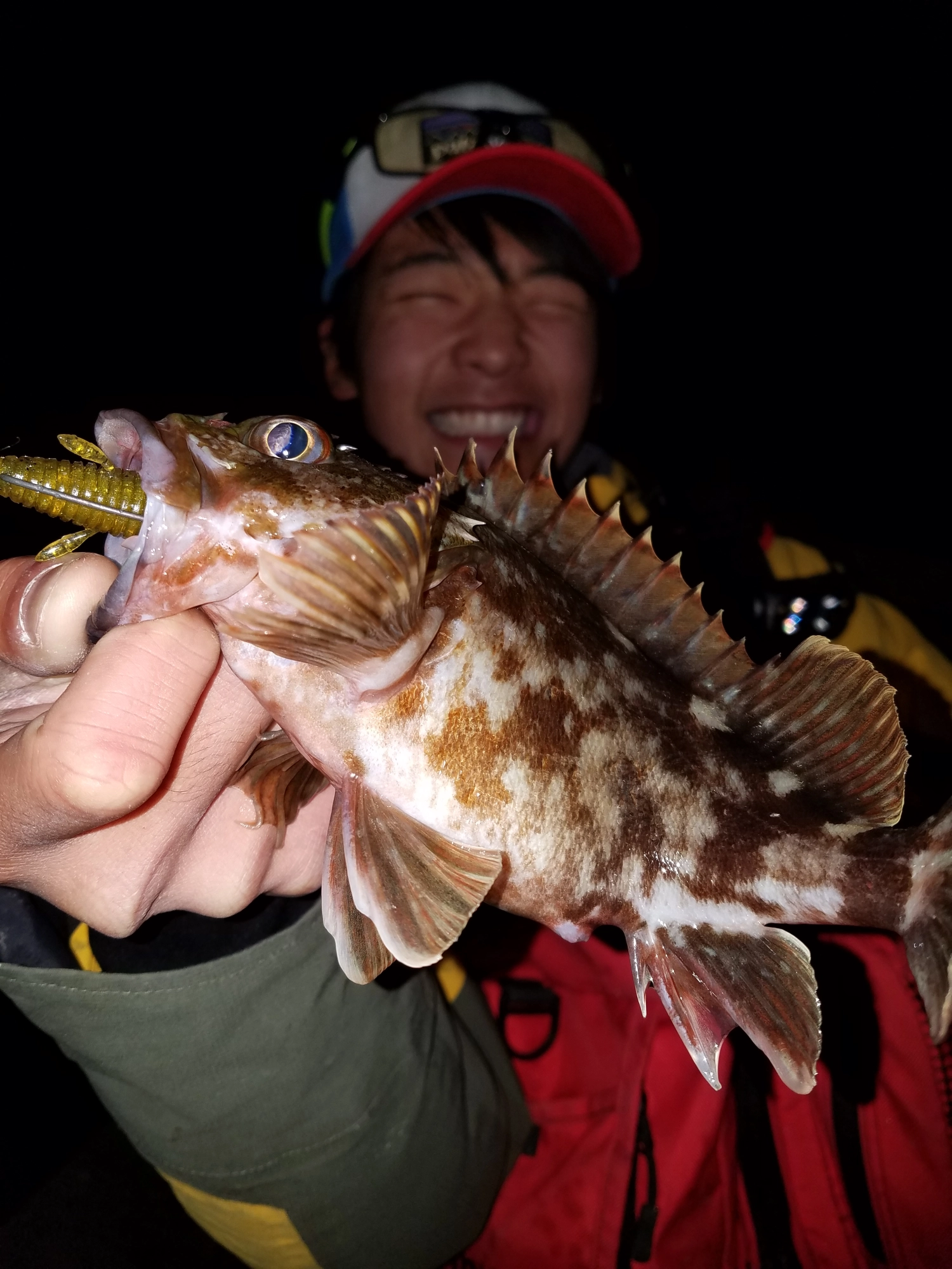 良型が釣れるのが冬の魅力！！！