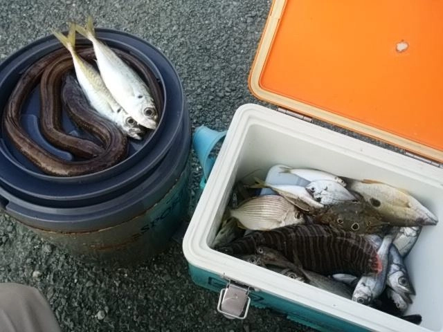 恵みに感謝！