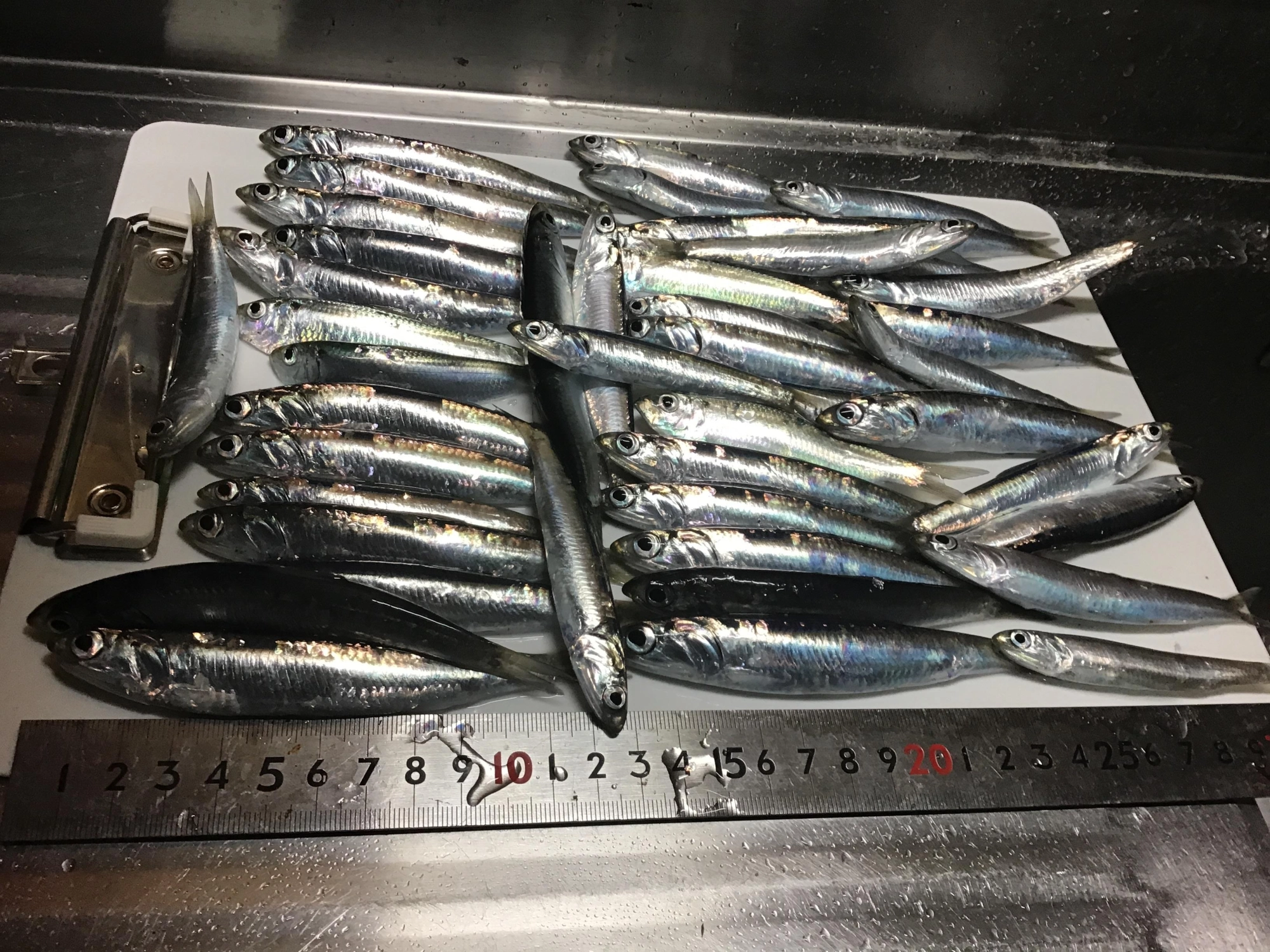 痛みが早いので、すぐに帰宅して調理開始です！