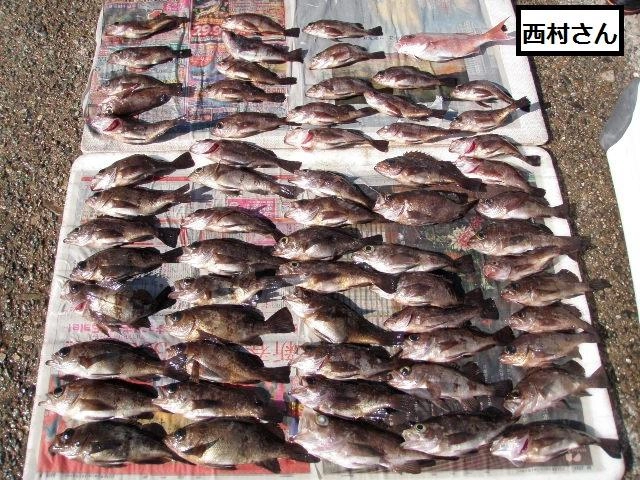 後半絶好調！