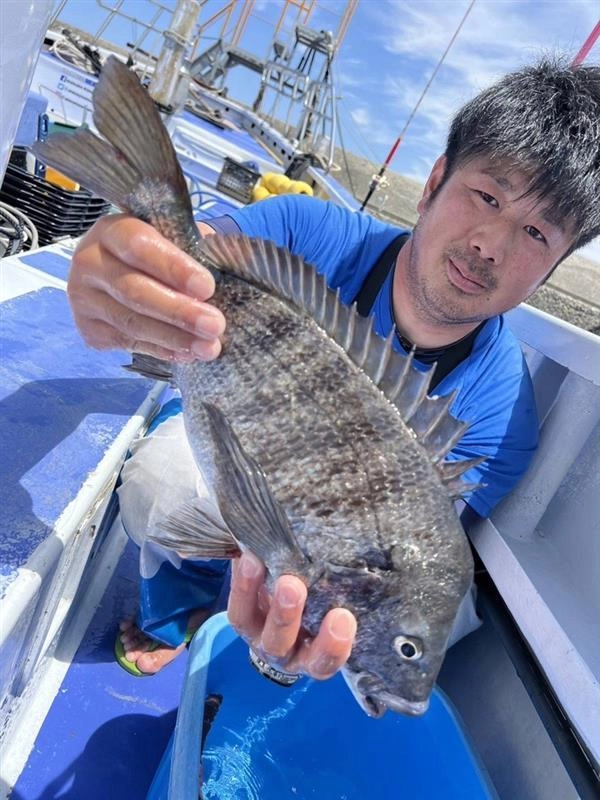 クロダイの釣果も出ています！沼津のクロダイ、とても美味しいです！