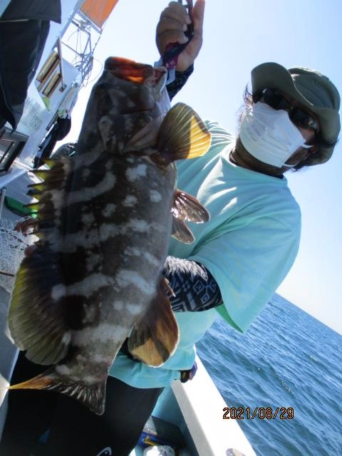 まさかの①日に❷匹もの幻の【クエ】浮上ッ(・∀・)