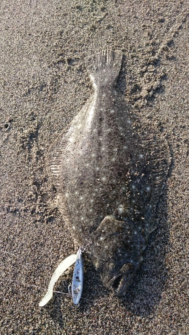 ヒットルアーはシマノ　メタルドライブ　よく飛んでよく釣れます。