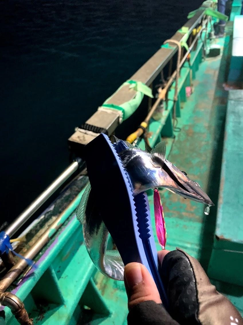 人生初の太刀魚
