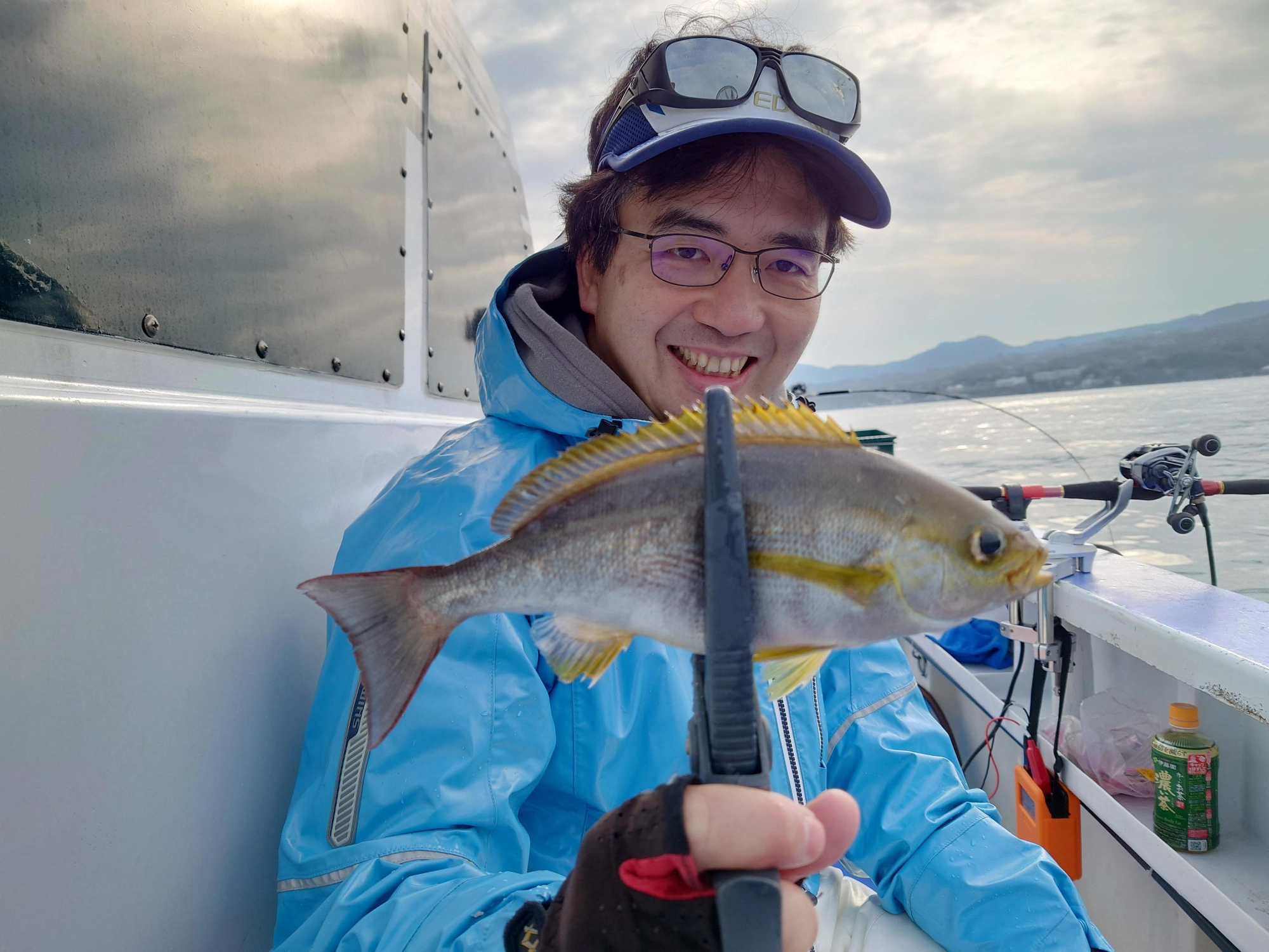 沼津湾内イサキおいしいです！