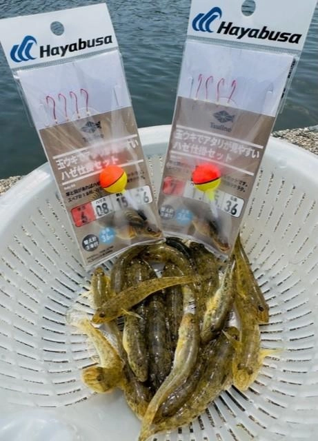 満潮時におすすめ「ウキ釣り」仕掛け。