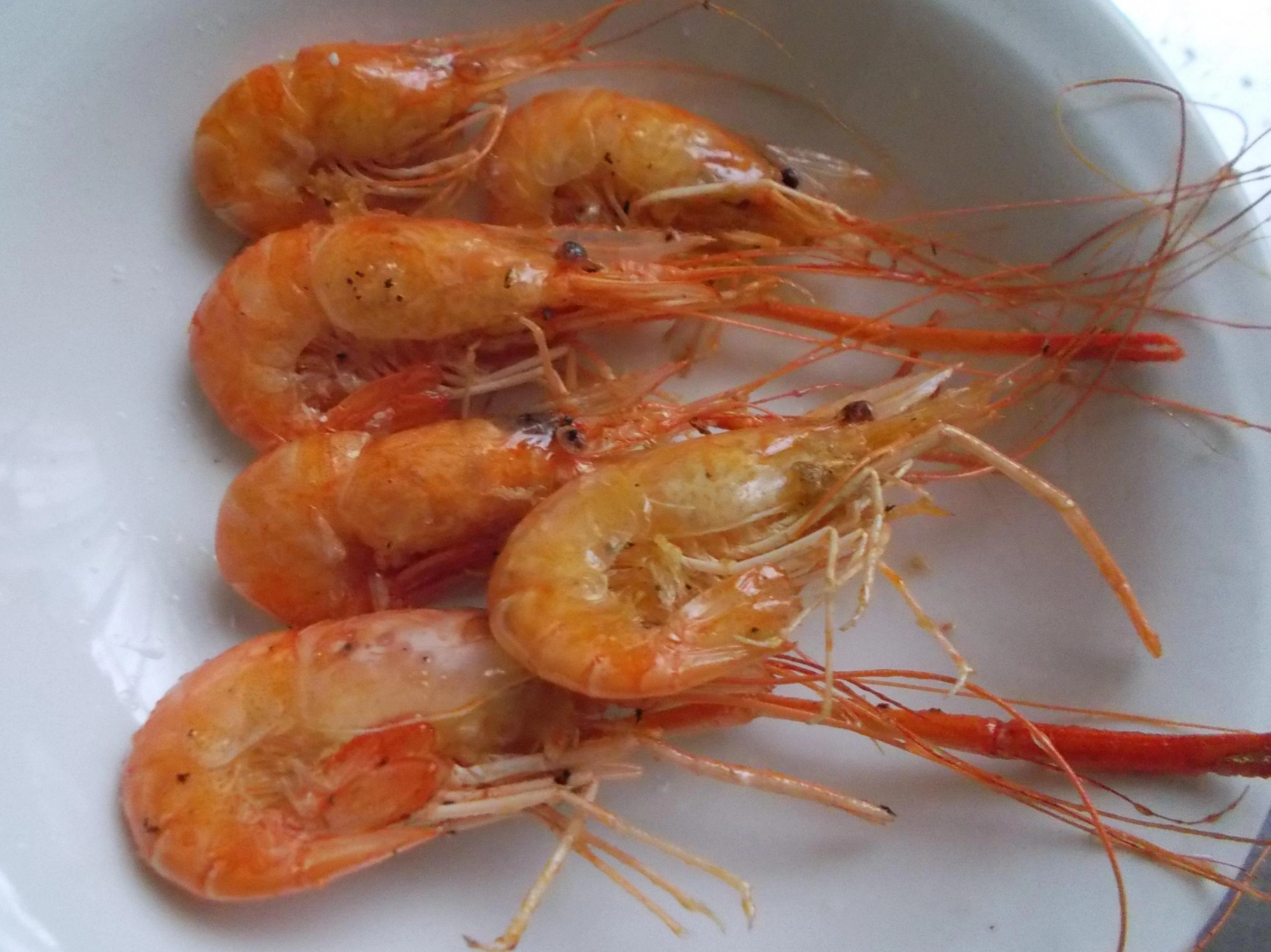 半日程活かすと食べたものを消化するので美味しくいただけます。途中で死んでしまったエビは口につまようじをさしてホジホジすると黒い塊（内臓）が取れるので取れたらクーラー（冷蔵庫）へ入れて下さい。
