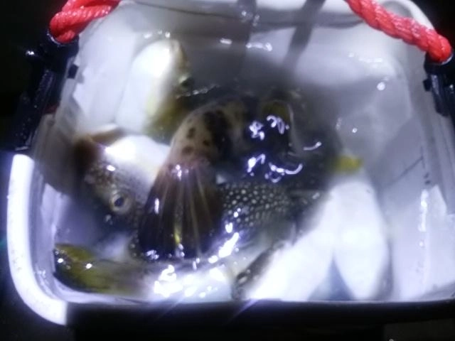 いっぱい