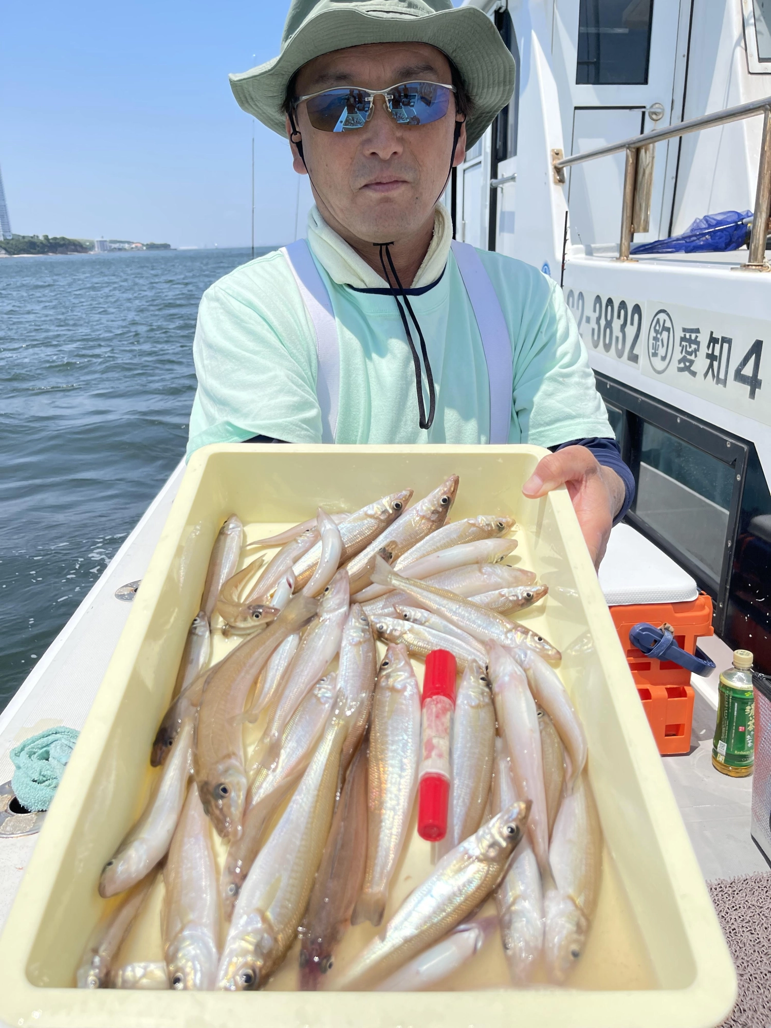 デカポチャギス混じりで今日のトップ釣果 ❹❺本狩りッ( ͡° ͜ʖ ͡°)