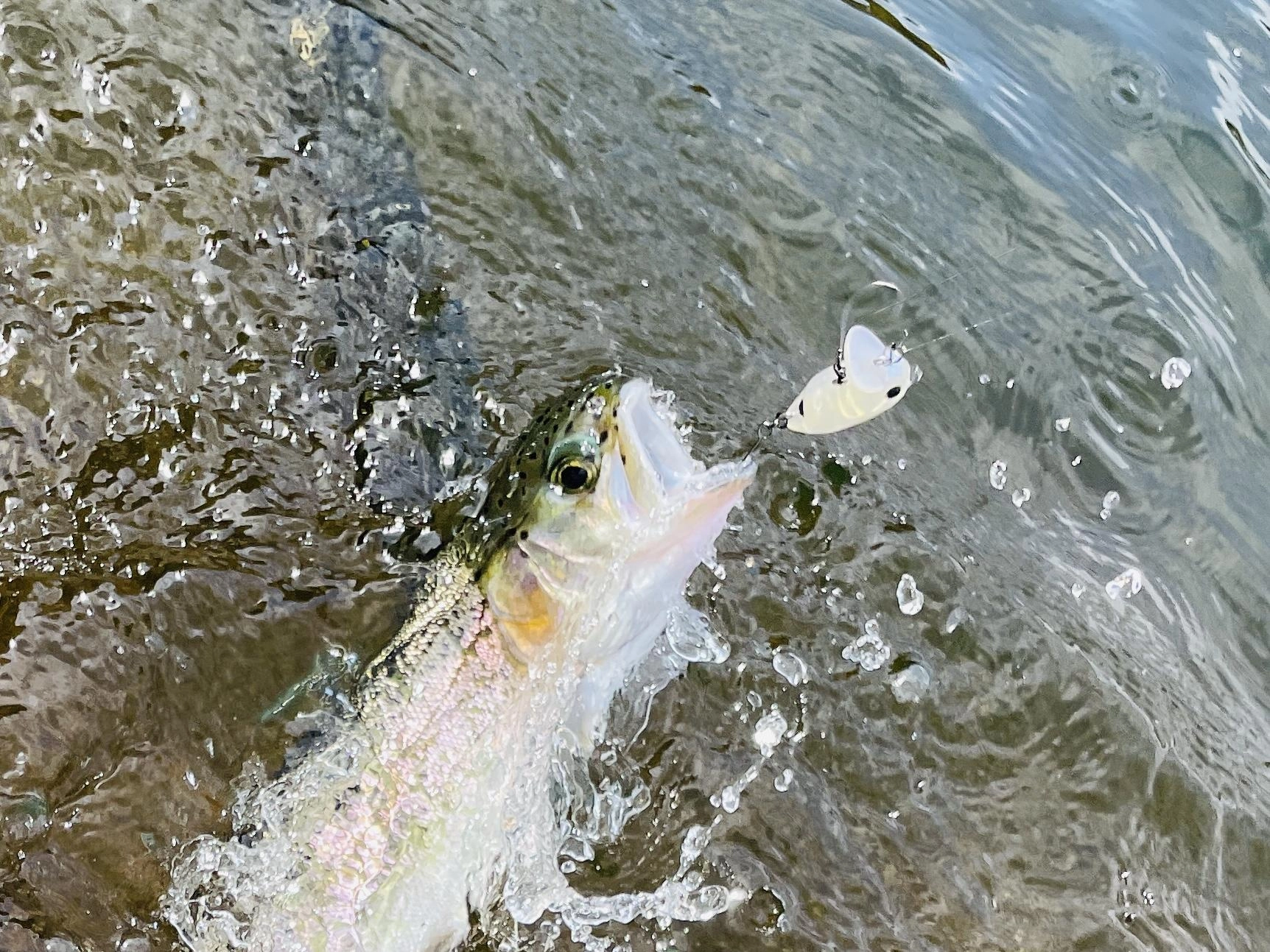 トップにバシャッと出るのは
爽快ですよ！
バシッと掛けると
たまらなく気持ち良いです♪