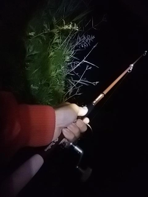 ウキ釣り