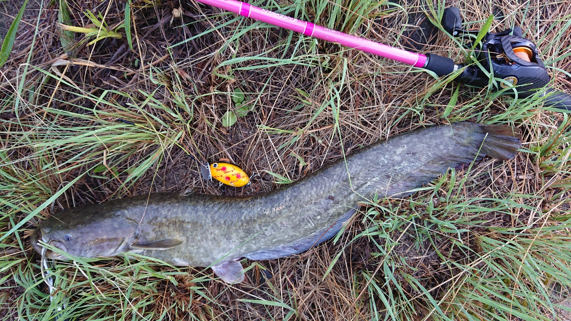 ルアーはザクトクラフト
ザグナ