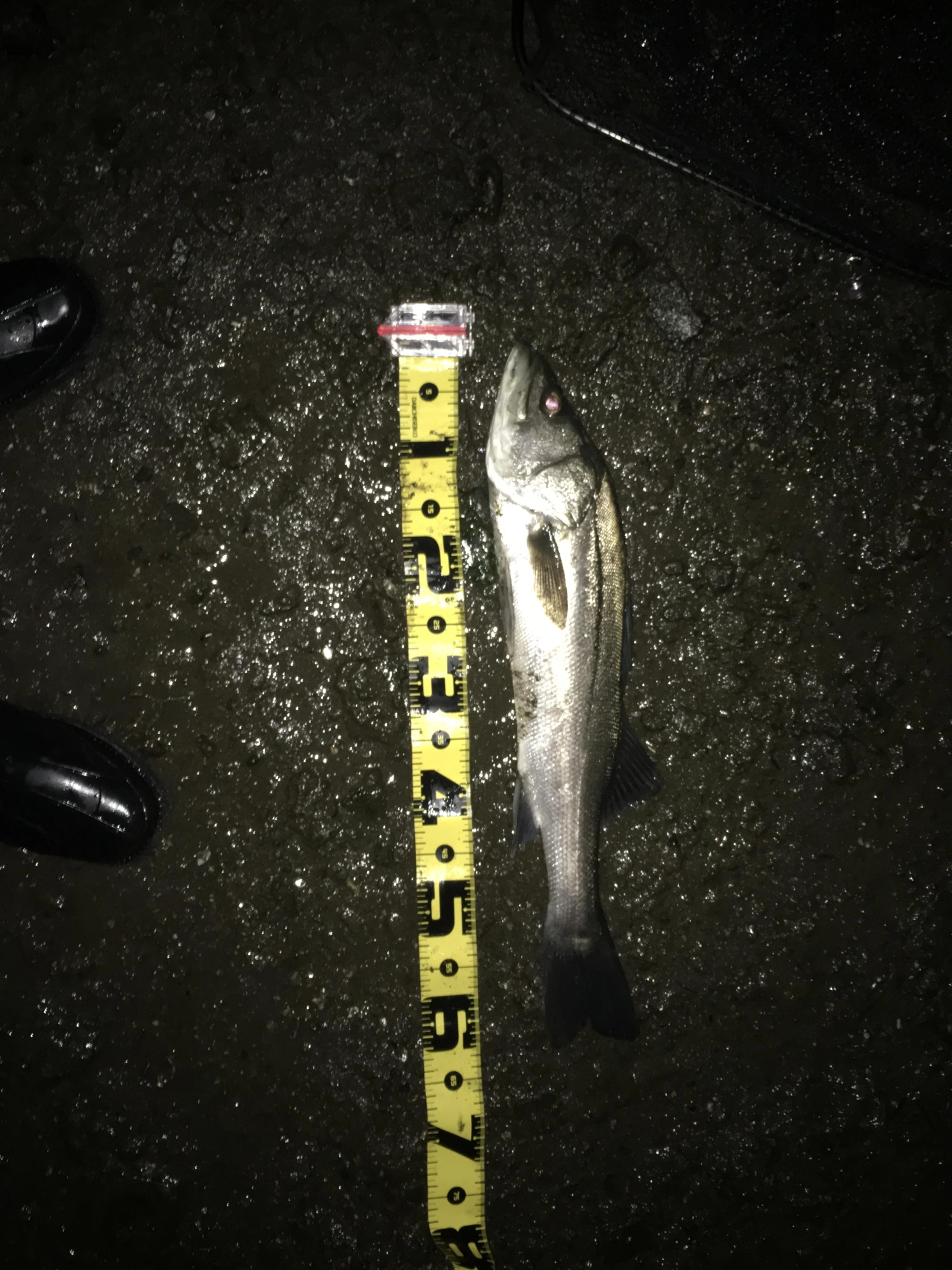 今年６本目まだまだ頑張ります❗️