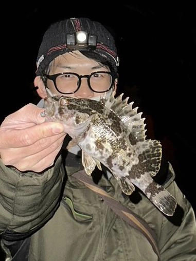 デカメバル