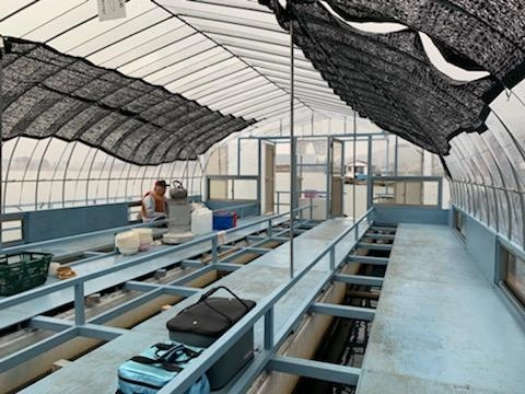 ドーム船の中です。９０㎝の釣座でのんびりワカサギ釣りが出来て雨でも安心♪