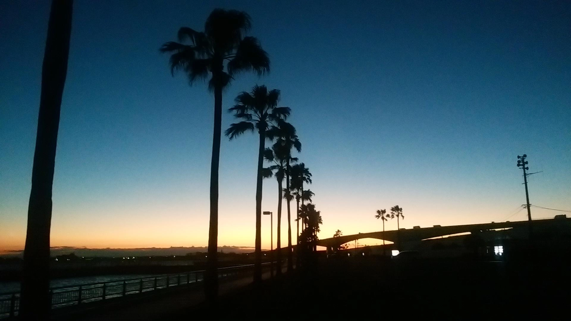 朝だね