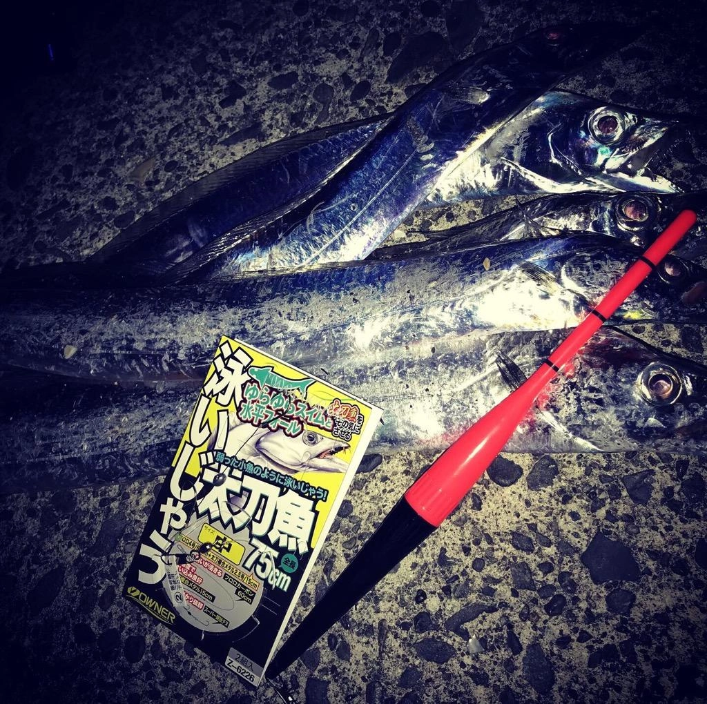 富士灯器の電気ウキ釣りセットが手軽でオススメ！