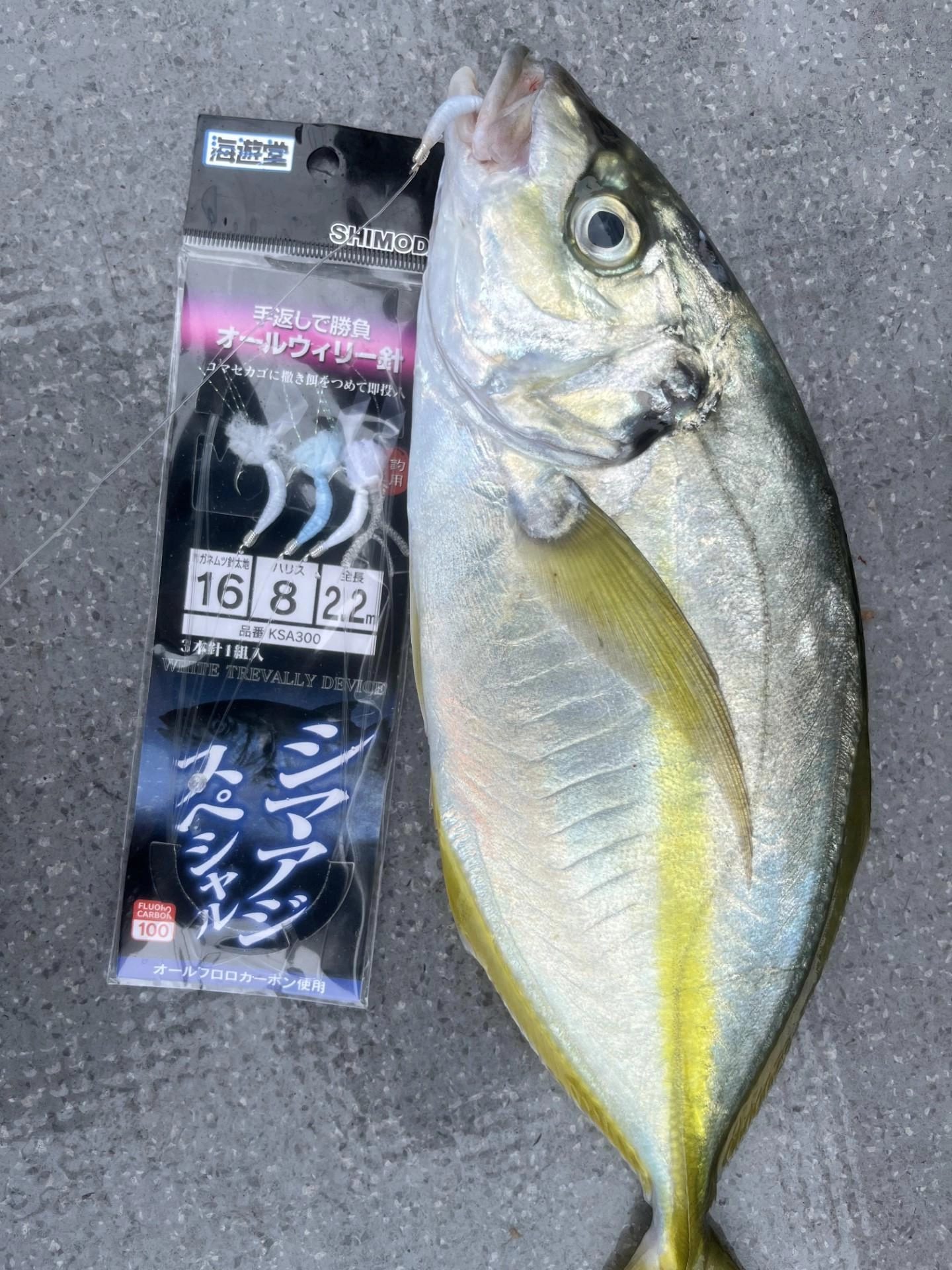 シマアジにはウイリー仕掛